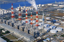 大蔥蟲害解決方案